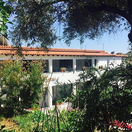 Villa Meroulas Megali Ammos  Extérieur photo